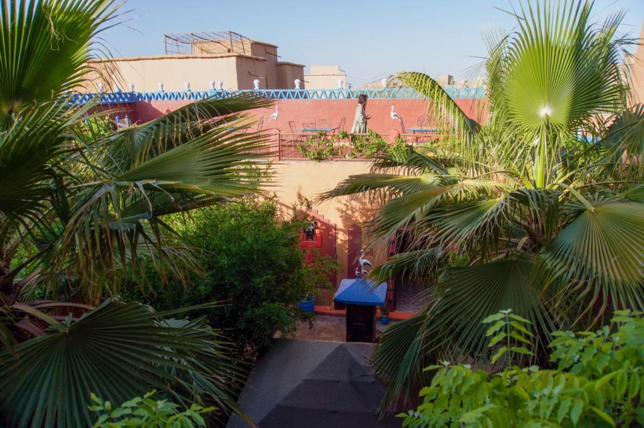 Riad Dades Birds Boumalne المظهر الخارجي الصورة