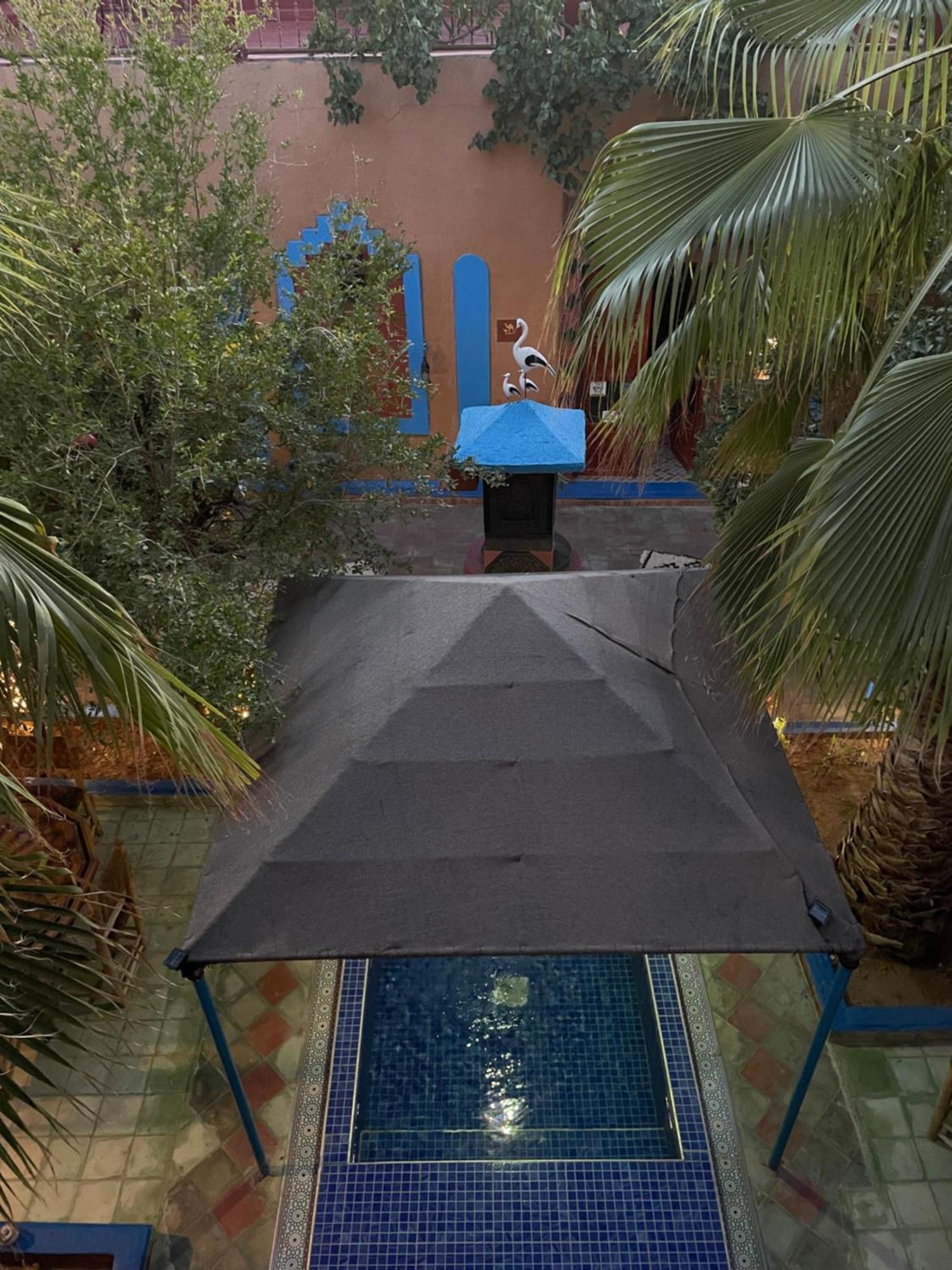 Riad Dades Birds Boumalne المظهر الخارجي الصورة