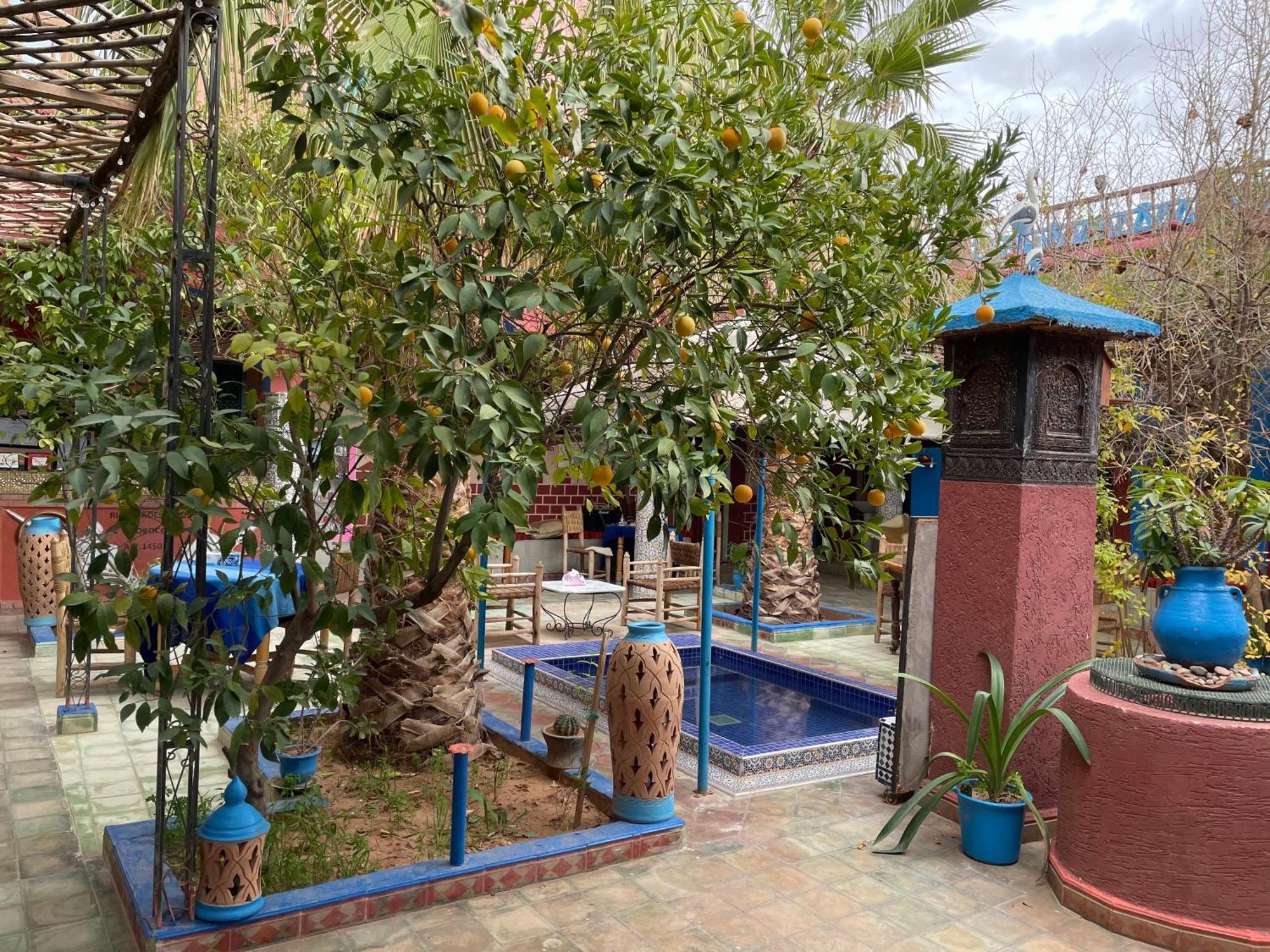 Riad Dades Birds Boumalne المظهر الخارجي الصورة
